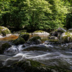 JEAN LUC SCHAUER Canon EOS 5D Mark IV 2024-07-06 16:42:36 f/20 1/4sec ISO-100 24mm JEAN LUC SCHAUER Canon EOS 5D Mark IV 2024-07-06 16:42:36 f/20 1/4sec ISO-100 24mm