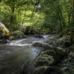 JEAN LUC SCHAUER Canon EOS 5D Mark IV 2024-07-06 16:45:31 f/20 1/2sec ISO-100 24mm JEAN LUC SCHAUER Canon EOS 5D Mark IV 2024-07-06 16:45:31 f/20 1/2sec ISO-100 24mm